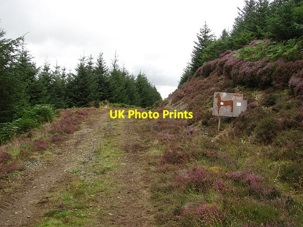 Photo 6"x4" Target, Rough Side Rachan Mill c2011