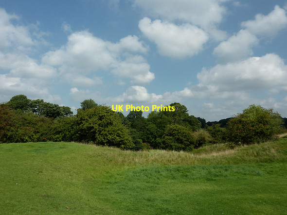 Photo 6"x4" Pasture and trees near Rode Heath, Cheshire Alsager c2011