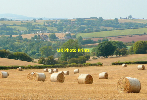 Photo 6"x4" Herefordshire landscape Bromsash c2011