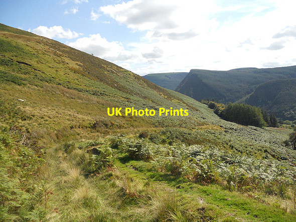 Photo 6"x4" The bridlepath to Pennant Melangell Pencraig\/SJ0427 c2011