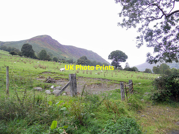 Photo 6"x4" Hillside at Glan-yr-afon Pencraig\/SJ0427 c2011