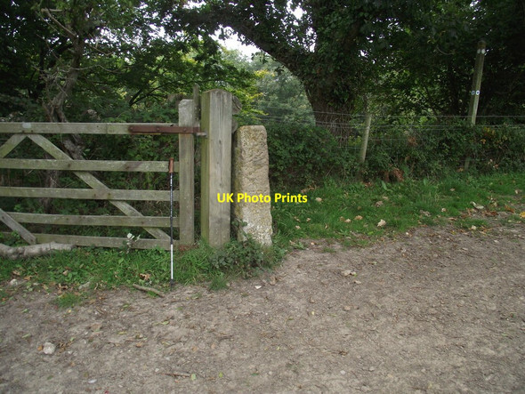 Photo 6"x4" St Gabriel's Benchmark Chideock c2011