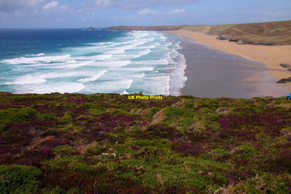 Photo 6"x4" Heather on Droskyn Point Perranporth c2011