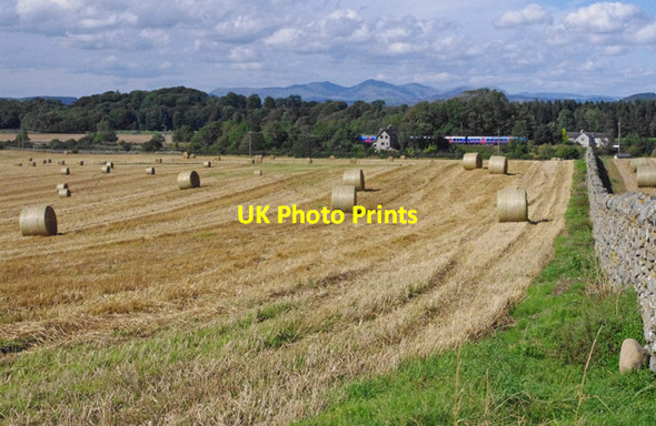Photo 6"x4" Field near Cark Cark c2011