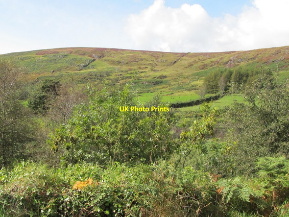 Photo 6"x4" View eastwards across the wooded Ghann Valley Mayobridge c2011