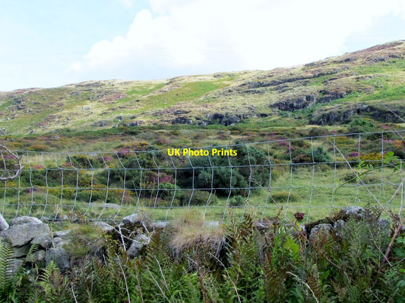 Photo 6"x4" The slopes of Leckan More from the Drumreagh Road Rostrevor c2011