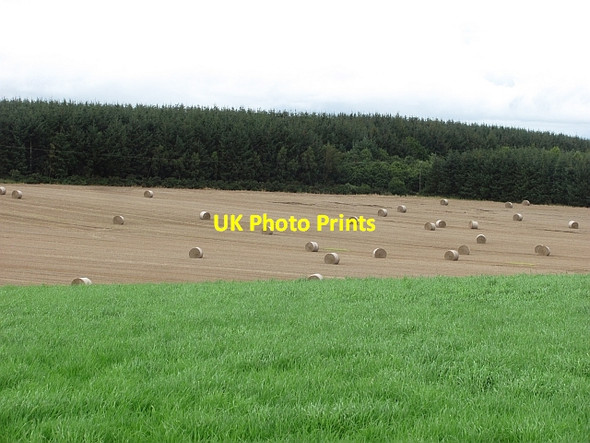 Photo 6"x4" Bales near Huntlywood Gordon\/NT6443 c2011