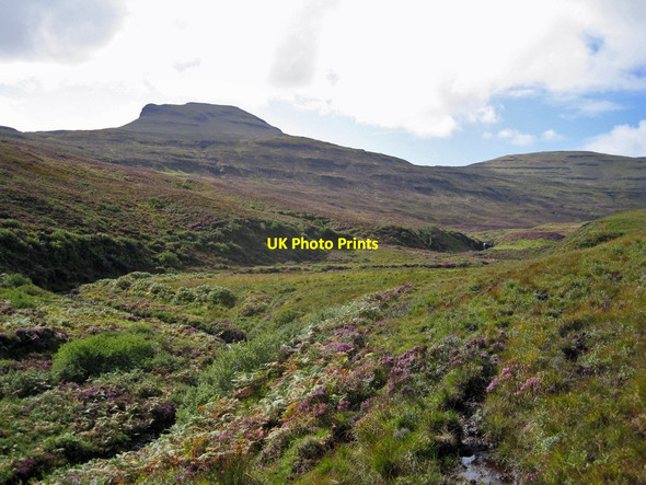 Photo 6"x4" Glen Osdale Greep c2011