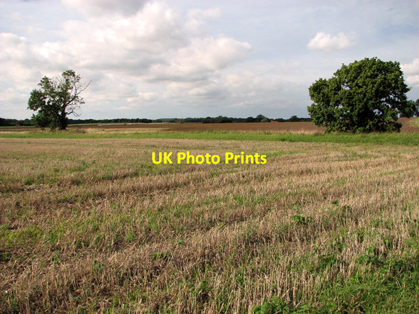 Photo 6"x4" Field boundary west of Brown's Lane, Holme Hale Holme Hale c2011