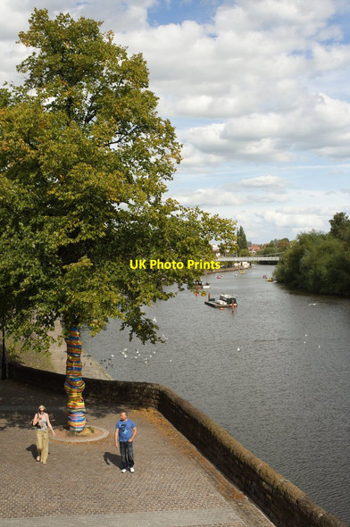 Photo 6"x4" River Dee Chester c2011