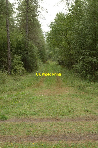 Photo 6"x4" Track Junction Newborough\/Niwbwrch c2011