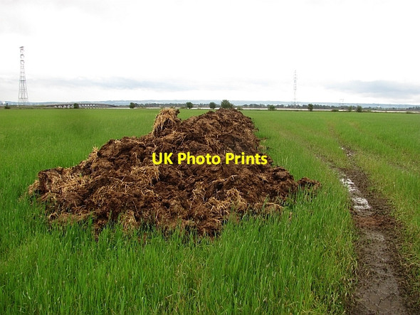 Photo 6"x4" Manure heap Clackmannan c2011