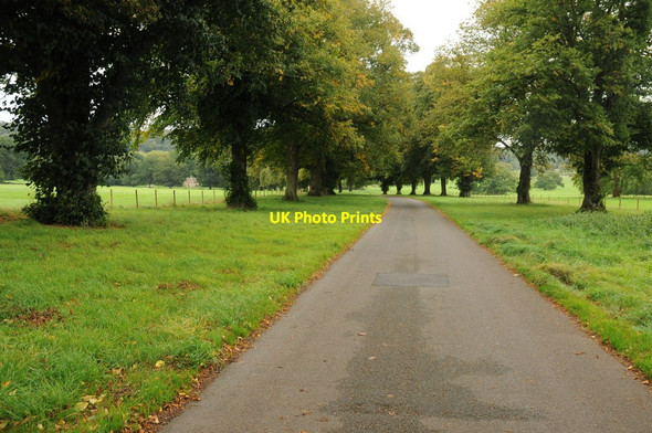 Photo 6"x4" Drive to Tyntesfield House Flax Bourton c2011
