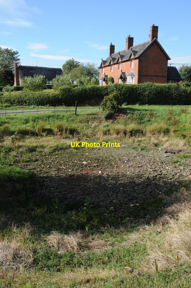 Photo 6"x4" Dried up village pond, Forthampton Forthampton c2011
