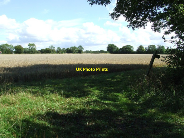 Photo 6"x4" Shady Footpath Hightown Green c2011