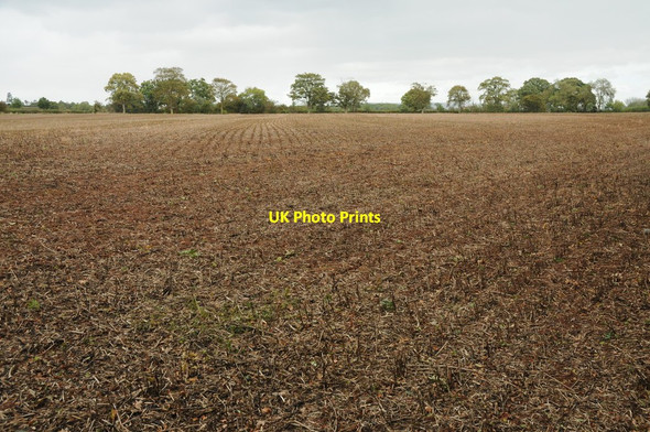 Photo 6"x4" Harvested field Chaceley c2011