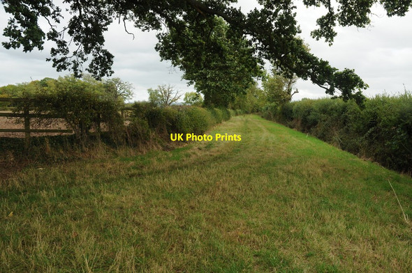 Photo 6"x4" Bridleway to Werth Farm Chaceley c2011
