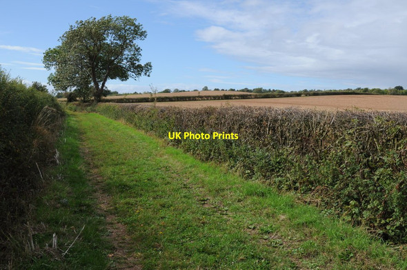 Photo 6"x4" Bridleway near Newbarn Farm Chaceley Hole c2011