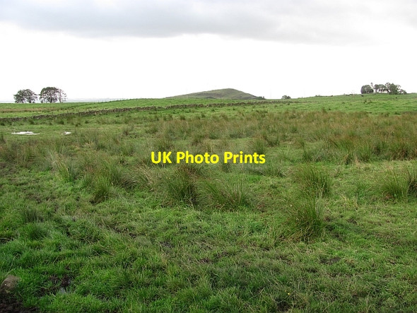 Photo 6"x4" Damp grassland Fankerton c2011