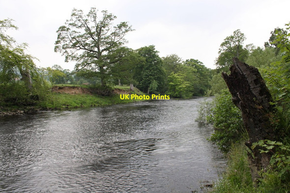 Photo 6"x4" River Ure from its north bank West Witton c2011