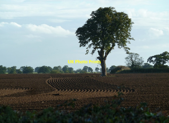Photo 6"x4" Field near Letton Hall Cranworth c2011