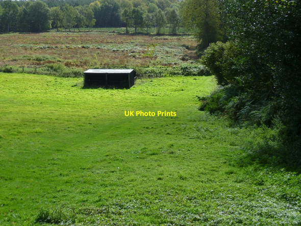 Photo 6"x4" Field with barn or animal shelter near Mayor House Farm Farley Green\/TQ0645 c2011