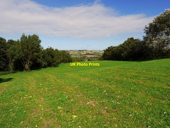 Photo 6"x4" Meadow east of Eltringham Wood Prudhoe c2011