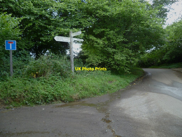 Photo 6"x4" Signpost on Shophouse Lane Farley Green\/TQ0645 c2011