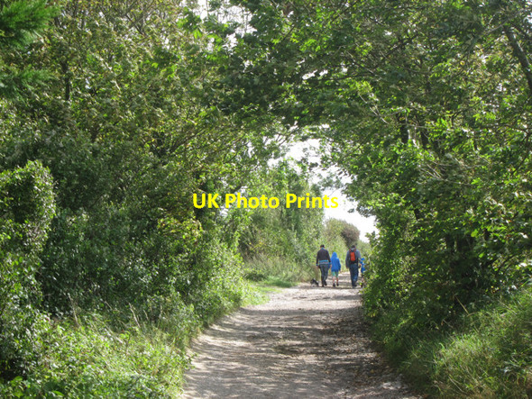 Photo 6"x4" Mill Lane Clayton\/TQ3014 c2011
