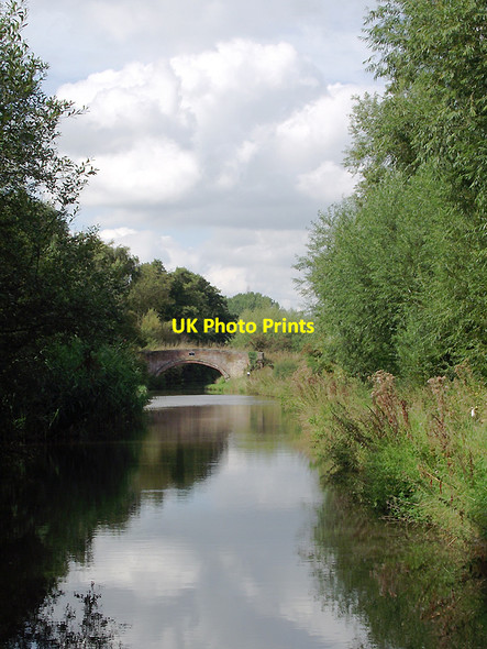 Photo 6"x4" Staffordshire and Worcestershire Canal south-east of Stafford Baswich c2011