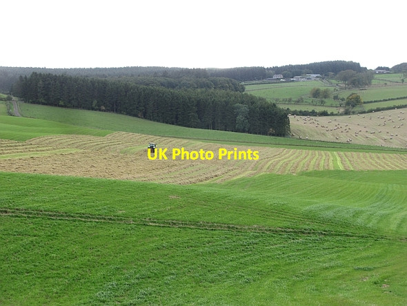 Photo 6"x4" Turning grass Linlithgow c2011