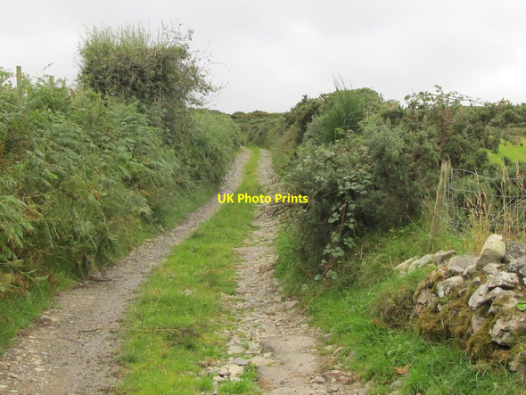 Photo 6"x4" Farm road leading from Mayo Road to upland pastures Mayobridge c2011