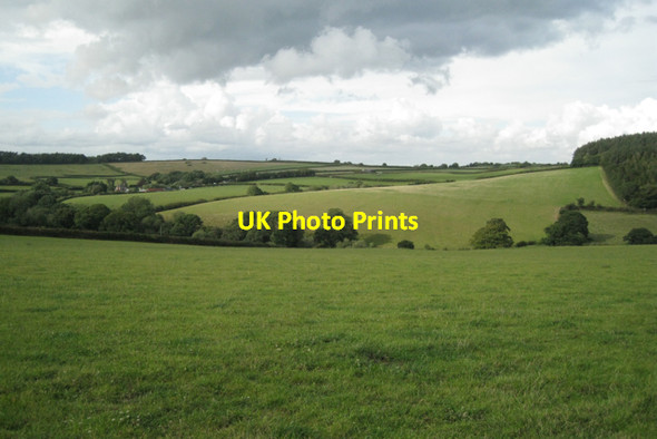 Photo 6"x4" Brook valley above Shuttamoor Hennock c2011