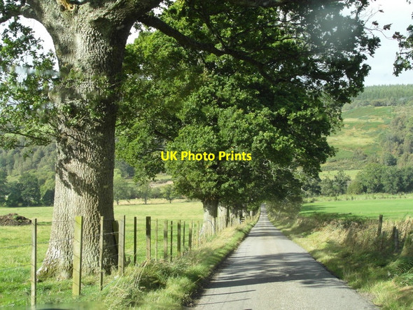 Photo 6"x4" Road down to Whitebridge Ardendrain c2011