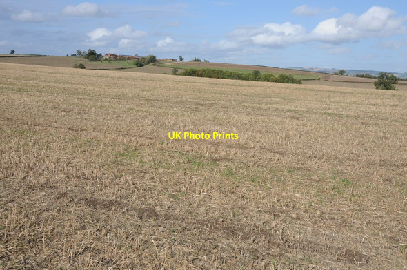 Photo 6"x4" View to Bushley Park Forthampton c2011