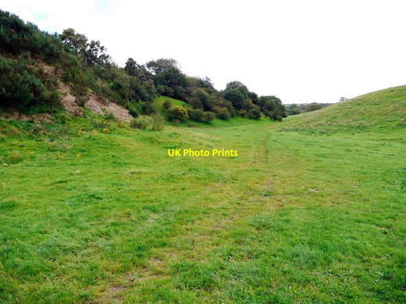 Photo 6"x4" Path leading through Bullion Hills Branch End c2011