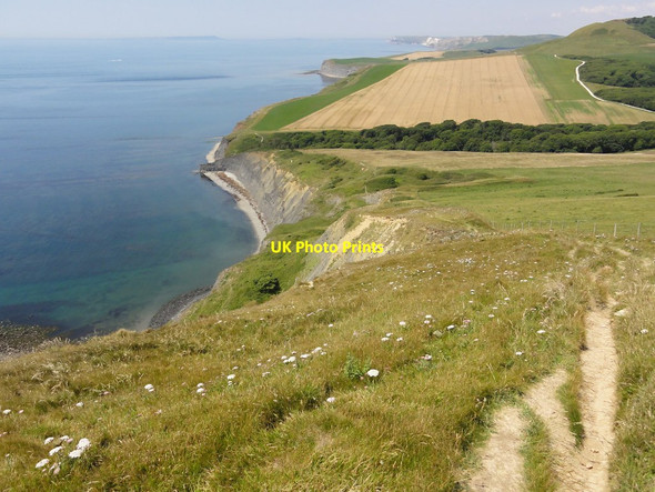 Photo 6"x4" West from Houns-tout Cliff Kingston\/SY9579 c2011