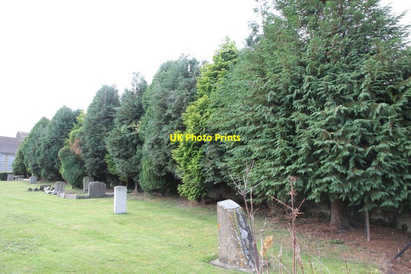 Photo 6"x4" The line of trees Harwell\/SU4989 c2011