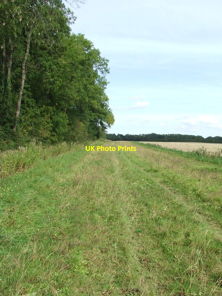 Photo 6"x4" Grassy Footpath Horseheath c2011