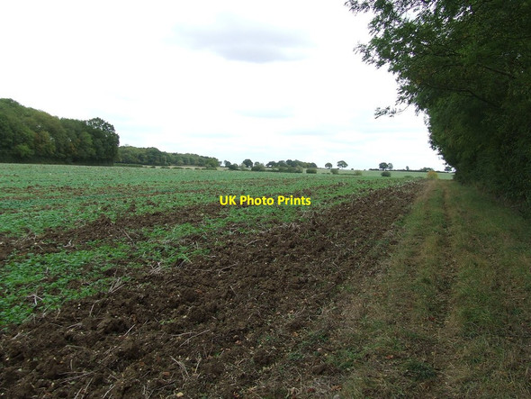 Photo 6"x4" Just In Suffolk Horseheath c2011