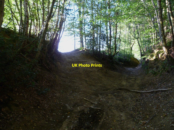 Photo 6"x4" Byway junction by Helmet Copse Farley Green\/TQ0645 c2011