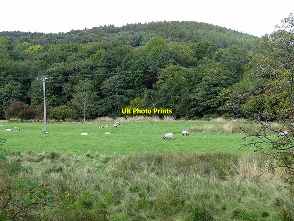 Photo 6"x4" Sheep pasture in the sheltered valley Green End\/NZ8203 c2011