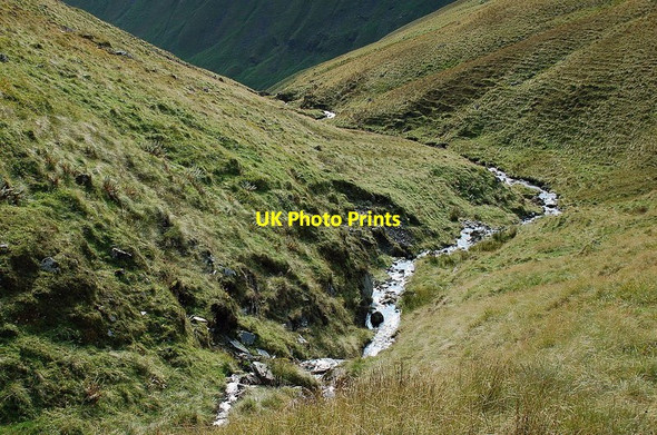 Photo 6"x4" Whirly Gill above Black Hope Whirly Gill c2011