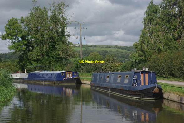 Photo 6"x4" Kennet & Avon Canal, near Bathampton Bathampton c2011