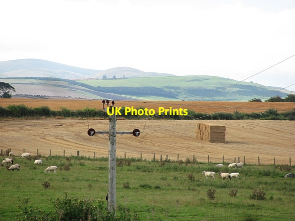 Photo 6"x4" Straw bales, Newbiggin Grindon\/NT9144 c2011