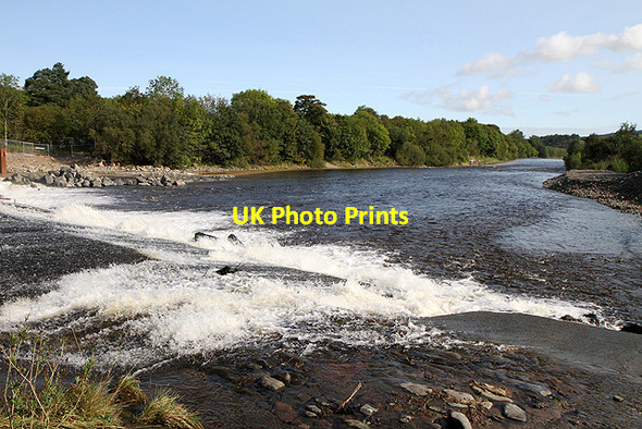 Photo 6"x4" The Ettrick Water Philiphaugh c2011