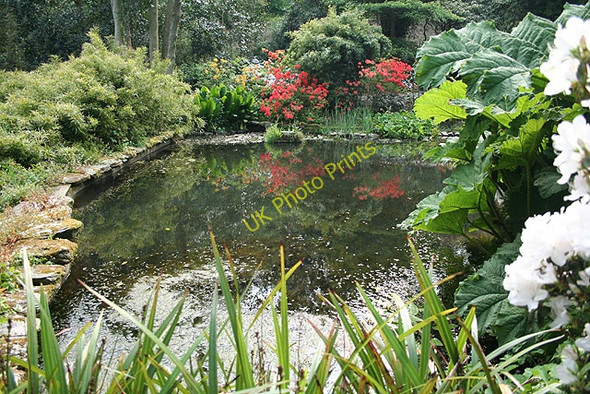 Photo 6"x4" Kingswear: garden at Coleton Fishacre 3 Kingston\/SX9051 c2008