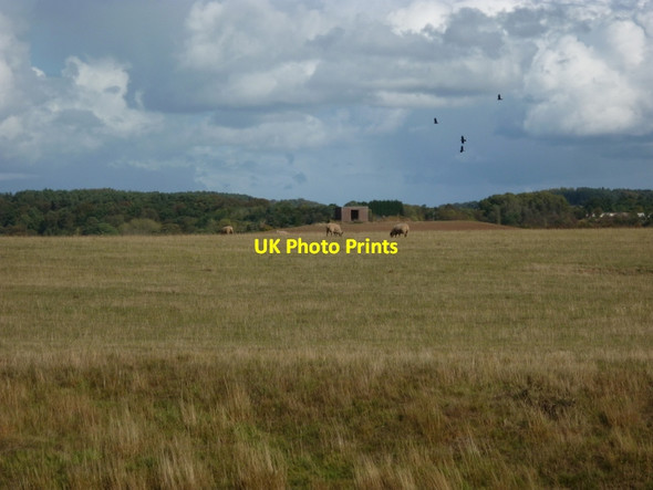 Photo 6"x4" Looking east from the train Eardington c2011