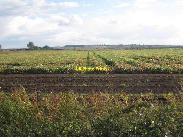 Photo 6"x4" View towards Gringley on the Hill Langholme\/SK7597 c2011
