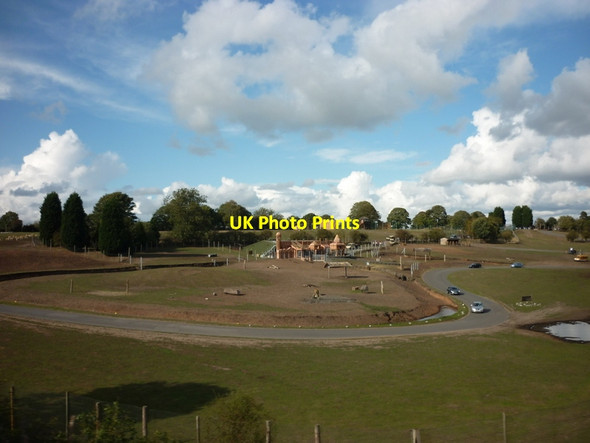 Photo 6"x4" West Midlands Safari Park Bewdley\/SO7875 c2011